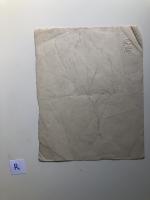 2679.jpg